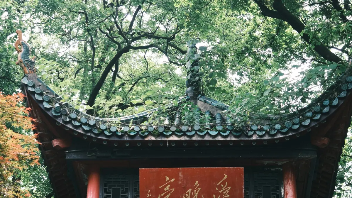 How Brands Use Bilibili to Boost Festival Promo in Spain