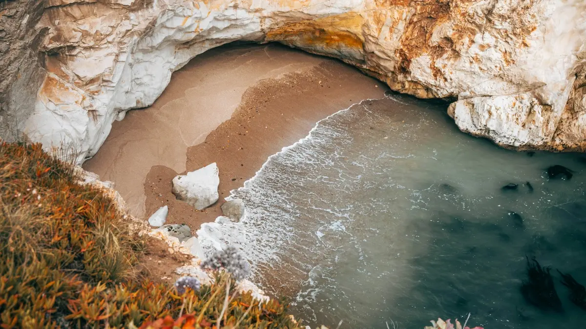 Zimbabwe advertisers: Find Slovak X creators for installs