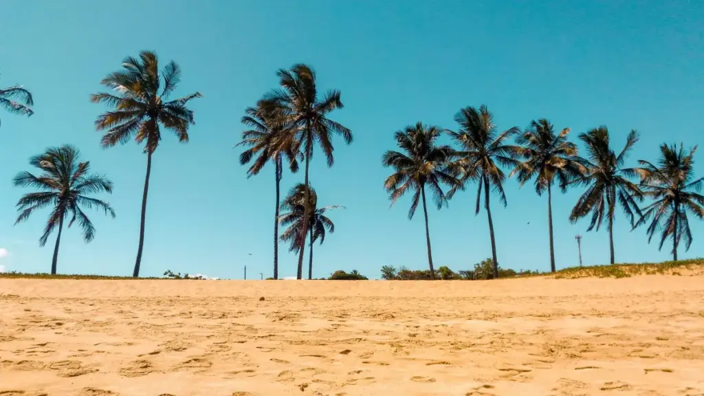 Step-by-step guide for Zimbabwe advertisers to find Singapore Snapchat creators, vet them, and launch authentic UGC campaigns tailored for travel, F&B and fintech.