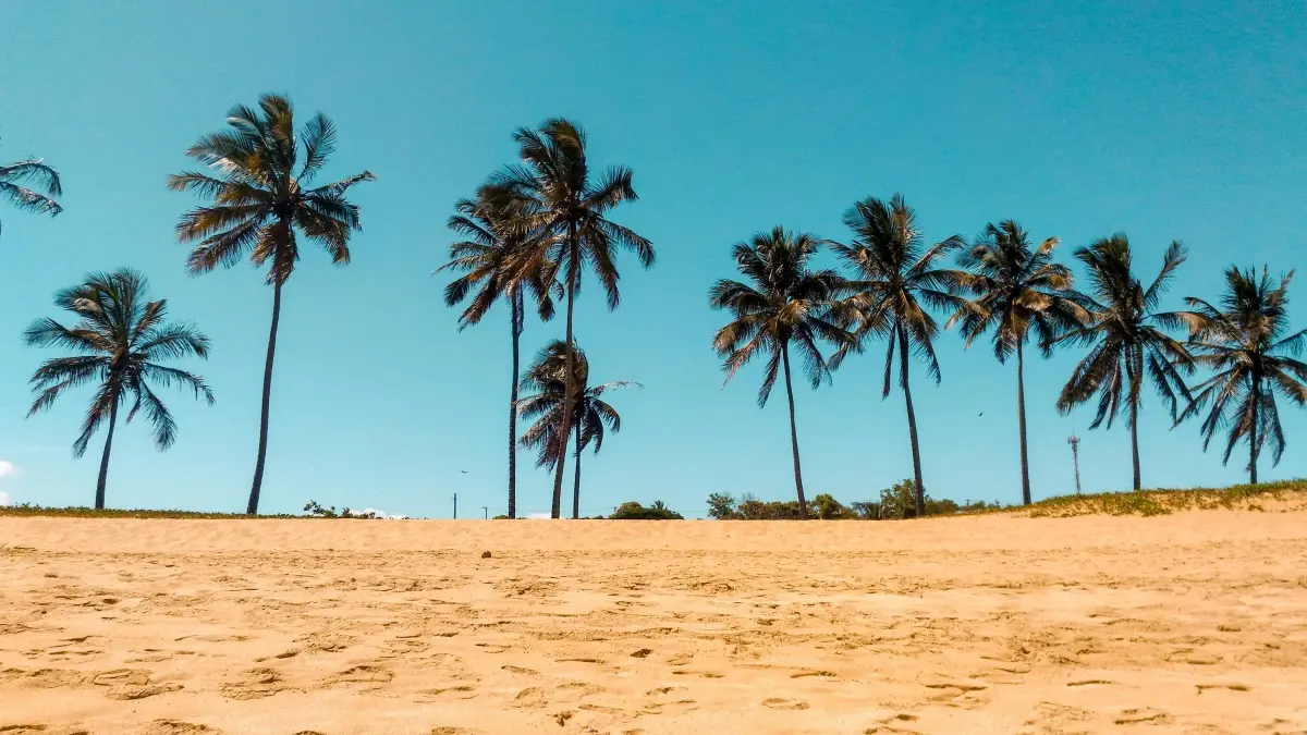 Zimbabwe Brands: Find Singapore Snapchat Creators Fast