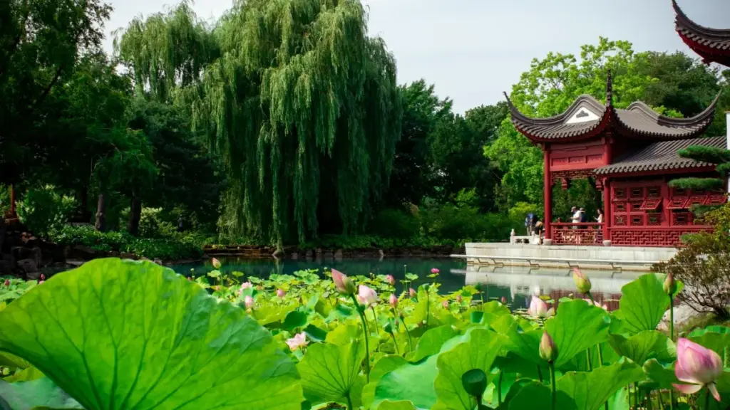 Practical guide for Zimbabwe creators on connecting with Sweden brands via Threads communities, outreach tips, and collaboration templates.