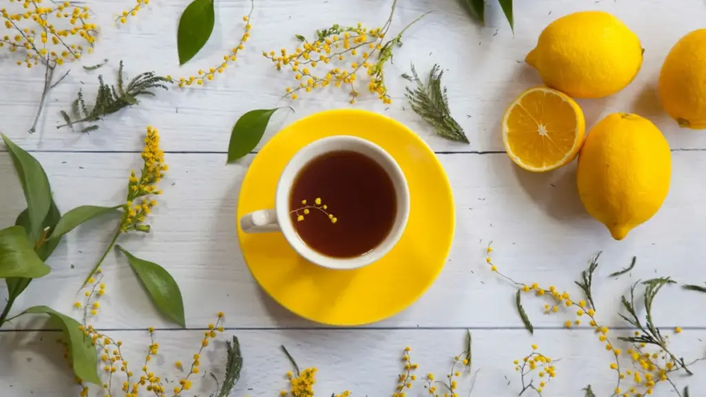 Practical guide for Zimbabwe creators on messaging Australian brands via Telegram to land paid sponsorships — outreach scripts, pitch timing, compliance, and platform tips.