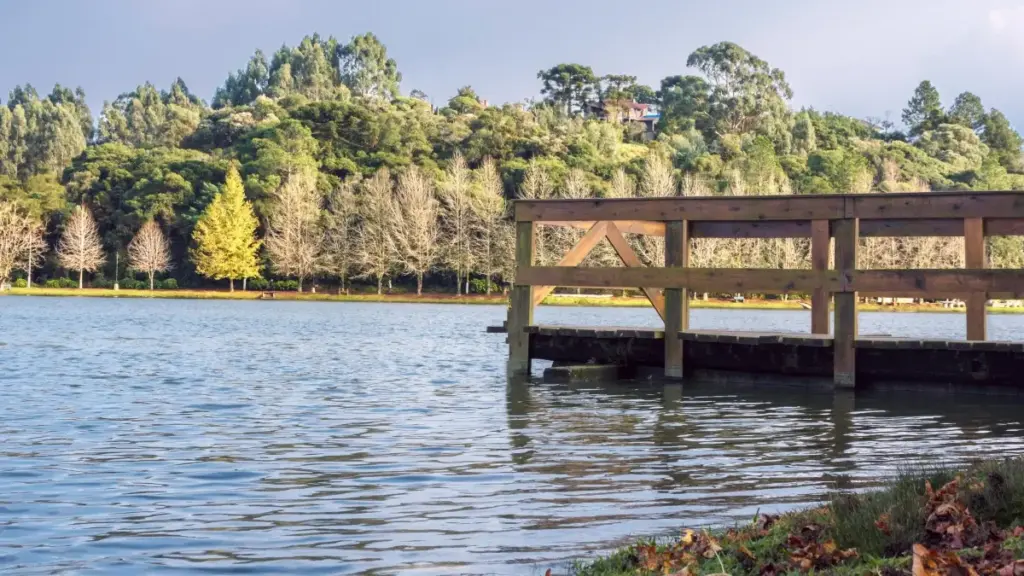 Practical, street-smart guide for Zimbabwean creators on finding and pitching Serbia brands via Reddit. Tactics, community etiquette, and outreach templates.