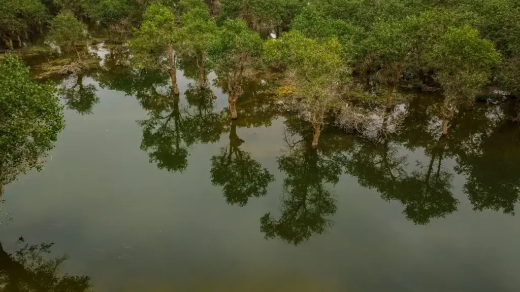 Practical guide for Zimbabwe creators on how to find, pitch and win Irish beauty brand ambassadorships via Moj — local tips, outreach scripts, and platform hacks.