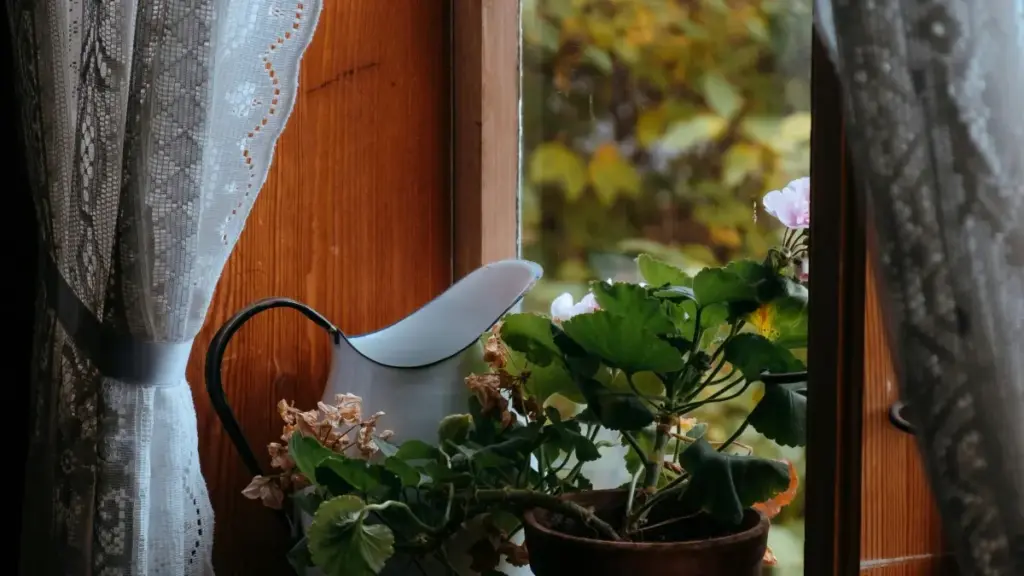 Practical guide for Zimbabwean advertisers to find and recruit Bangladesh Pinterest creators for affiliate campaigns — step-by-step sourcing, outreach scripts, tracking tips, and localised strategy.