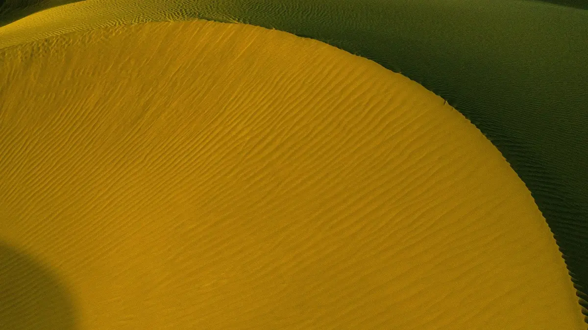 Creators: Pitch Portugal wellness brands on Reddit—Fast