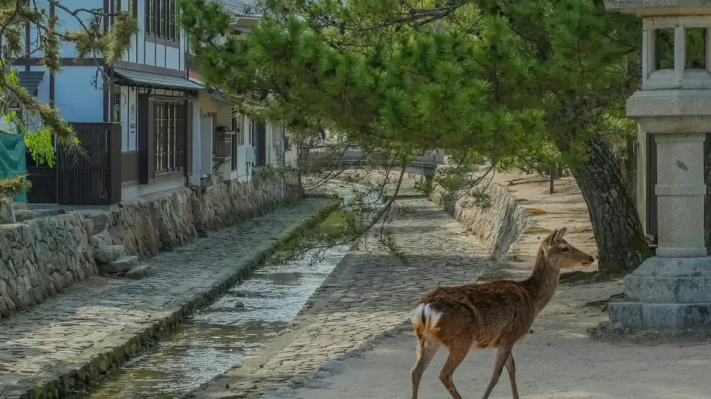 Practical, street-smart guide for Zimbabwean advertisers on finding Qatar Discord creators to test market demand — sourcing tactics, tools, outreach scripts, and ROI checks.