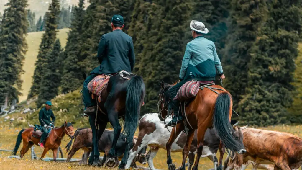 Practical playbook for Zimbabwean creators who want to pitch Bolivian brands on Spotify, build conversions and write CTAs that actually work.