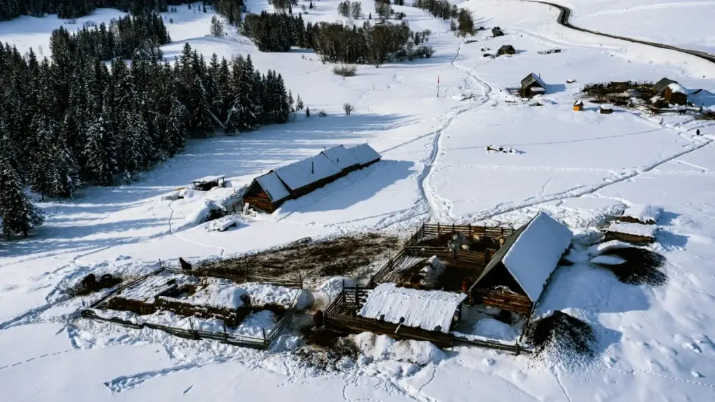 Practical step-by-step guide for Zimbabwe creators on using Telegram to pitch Moroccan brands (like Morocco Private Luxury Tours) for music trend collabs — outreach scripts, best times, and risk tips.