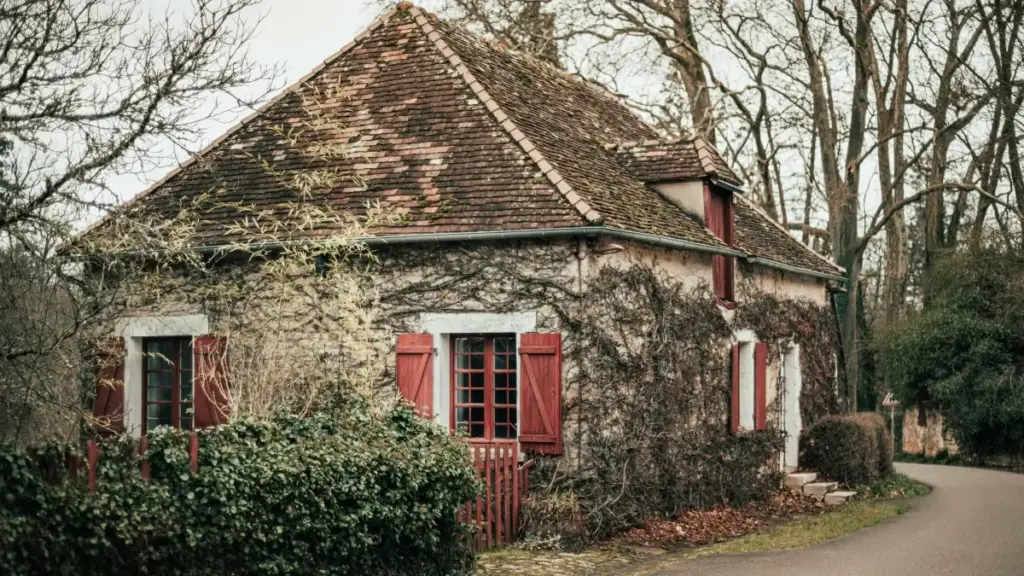 Practical guide for Zimbabwe advertisers on locating Denmark Line creators and running influencer-driven app-download campaigns with measurable ROI.