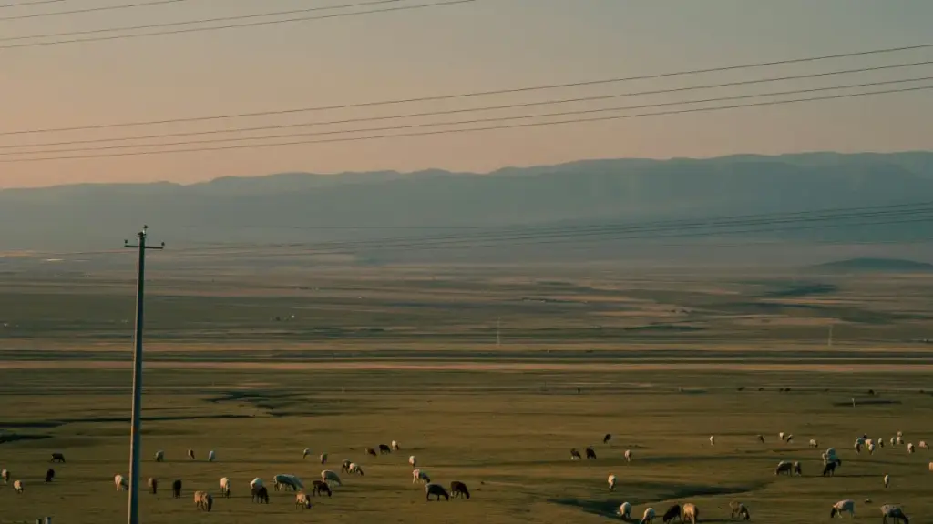 Practical guide for Zimbabwe advertisers on sourcing Israel-based Pinterest creators to boost mobile app installs — tactics, outreach scripts, and campaign checklist.