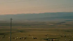 Practical guide for Zimbabwe advertisers on sourcing Israel-based Pinterest creators to boost mobile app installs — tactics, outreach scripts, and campaign checklist.