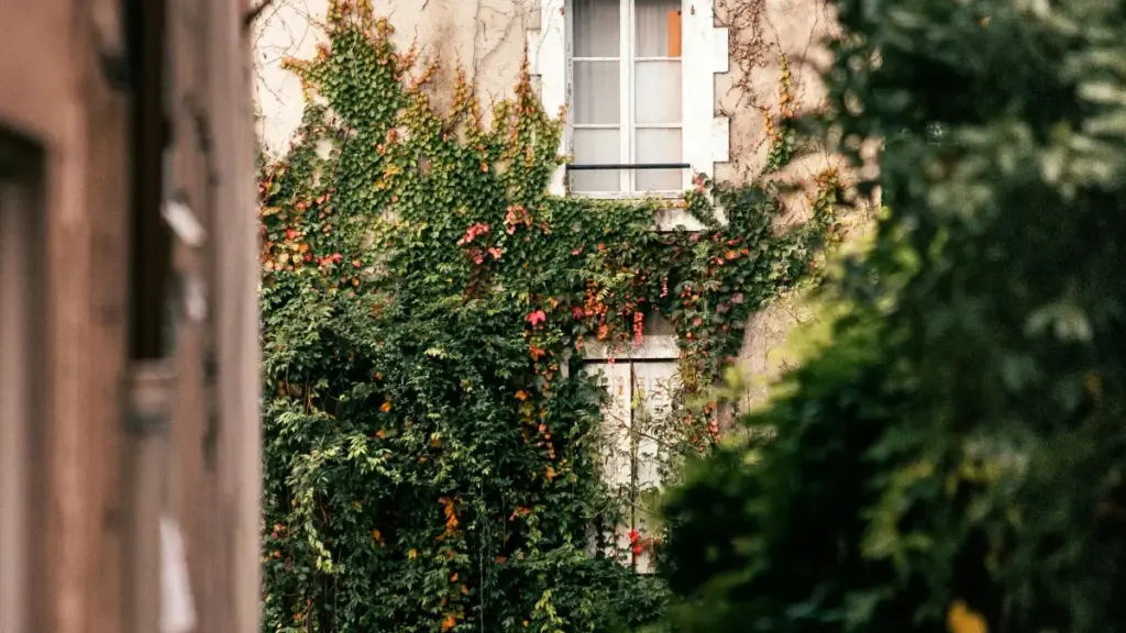 Practical guide for Zimbabwe creators on contacting Egyptian brands via Line to run game-key giveaways — outreach scripts, partnership angles, platform tips, and legal gotchas.