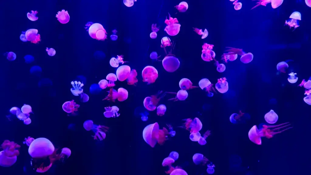 Practical playbook for Zimbabwean creators who want Italian brand deals via Threads — outreach, content hooks, and publisher partnerships.