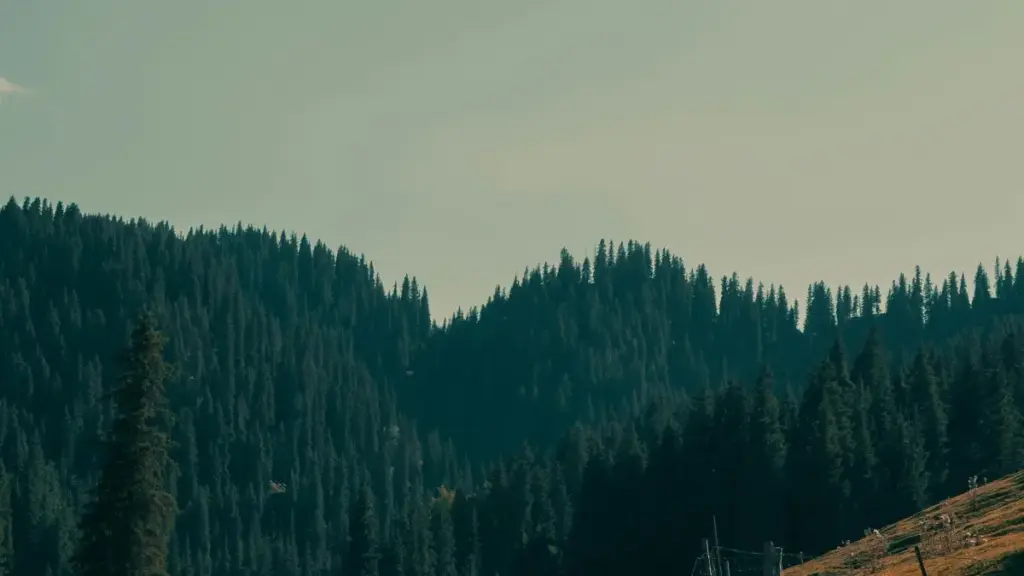 Practical guide for Zimbabwe creators to find, approach and partner Nepal sellers on Taobao for wardrobe haul videos — step-by-step outreach, logistics, and local tips.