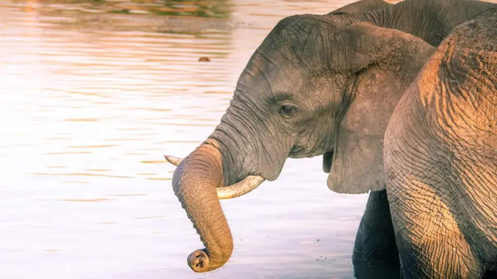 Practical playbook for Zimbabwe advertisers to find Saudi Arabia Reddit creators, build culturally smart beauty campaigns, and drive awareness for new launches.