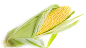 Practical guide for Zimbabwe advertisers to find Ukraine Spotify creators for product seeding and creator-driven reach.