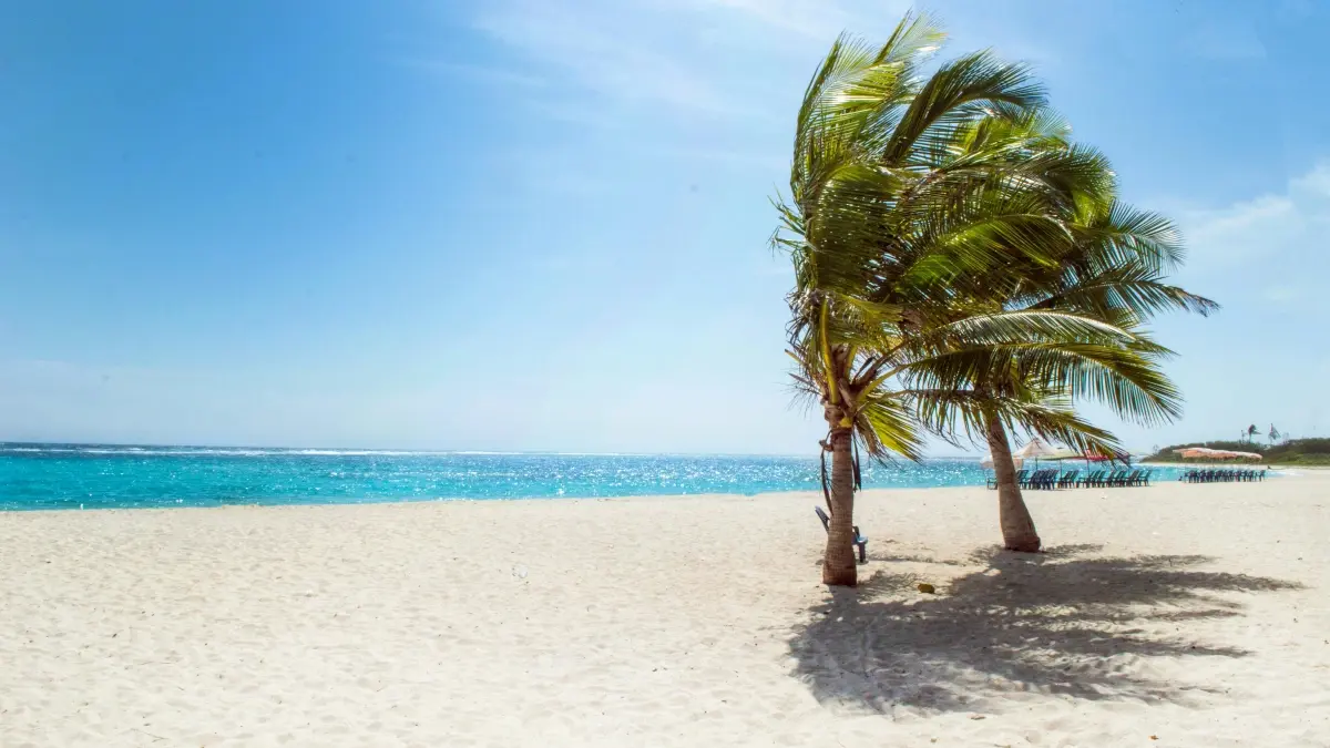Creators: Reach Dominican brands on vkontakte, fast