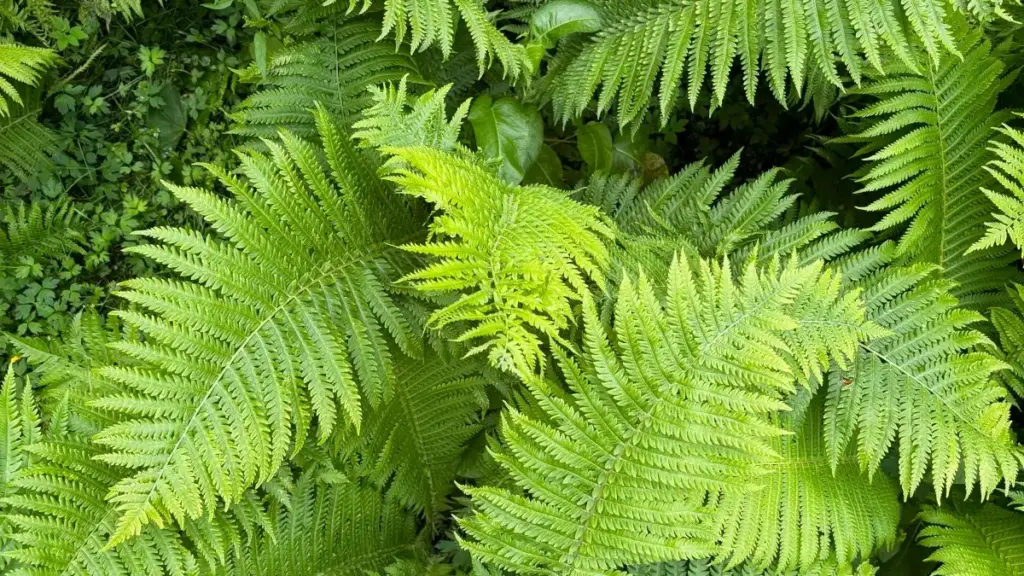 Practical guide for Zimbabwean creators on pitching Montenegro brands via Bilibili, building offers that convert with tight CTAs and localised creative hooks.