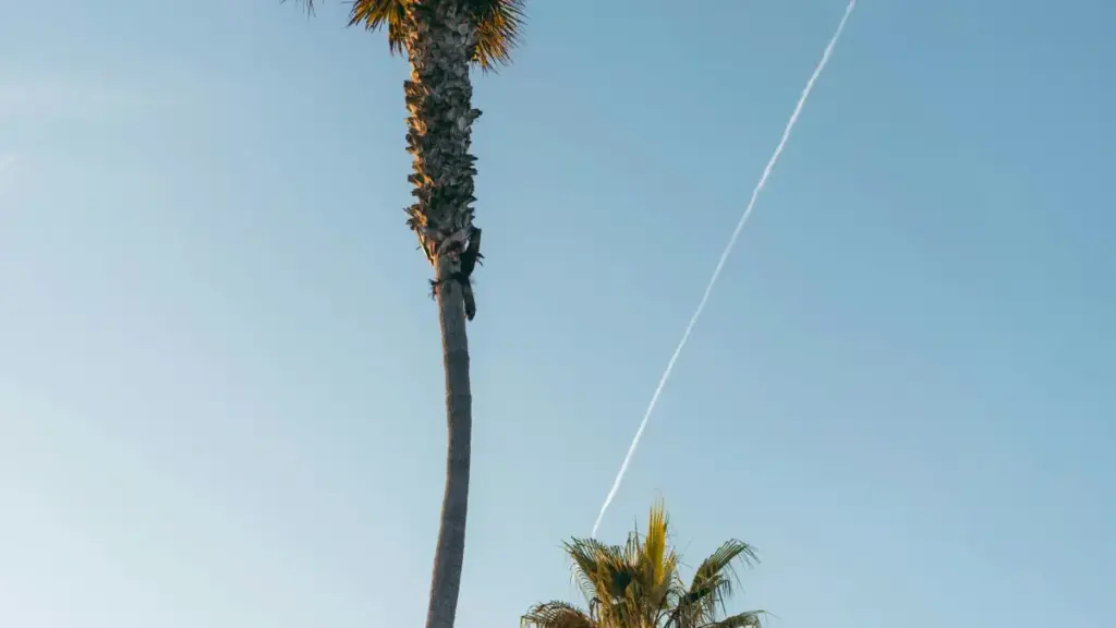 Practical guide for Zimbabwean advertisers to source Malaysia Takatak creators for short-term, creator-led sales pushes. Steps, vetting checklist, campaign playbook and localised tips.