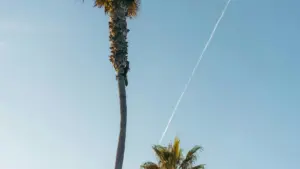 Practical guide for Zimbabwean advertisers to source Malaysia Takatak creators for short-term, creator-led sales pushes. Steps, vetting checklist, campaign playbook and localised tips.