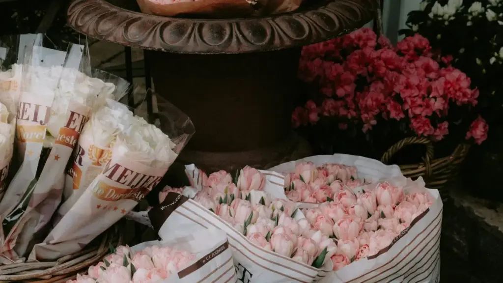 Practical guide for Zimbabwean advertisers to find Sri Lanka Takatak creators, start UGC campaigns, and scale with authentic, low-cost content.