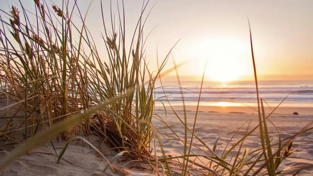 Practical guide for Zimbabwean creators on reaching Ireland-based brands via WhatsApp to produce testimonial videos — outreach scripts, legal tips, and local-first tactics.