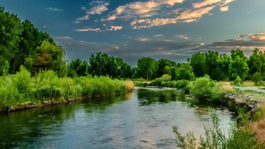 Practical guide for Zimbabwe creators: how to approach Australian brands via OnlyFans to make branded travel vlogs — outreach templates, platform tactics, legal tips, and local tricks.