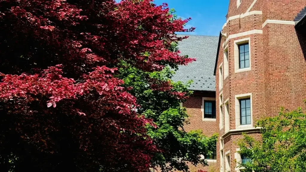 Practical guide for Zimbabwean creators on pitching Mexican brands for OnlyFans unboxing collabs — outreach templates, platform tips, privacy, and monetisation paths.