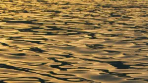 Practical ways to spot Bulgaria-based Zalo creators, vet their fit, and launch smarter clothing campaigns without wasting budget.