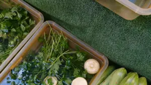 Nzira dzinoshanda dzekusvika kuLatvia brands paXiaohongshu, kuvaka trust, uye kupinda muwellness campaign collabs pasina kutambisa nguva.