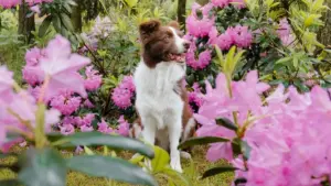 A practical guide to finding Poland Moj creators for creator-led fitness challenges, with trend signals, creator vetting tips, and campaign ideas that can actually move.