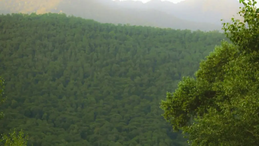 Practical, street-smart tactics for Zimbabwean creators to find and pitch Nigerian brands on Zalo for unboxing videos — step-by-step outreach, trust-building, and tools.