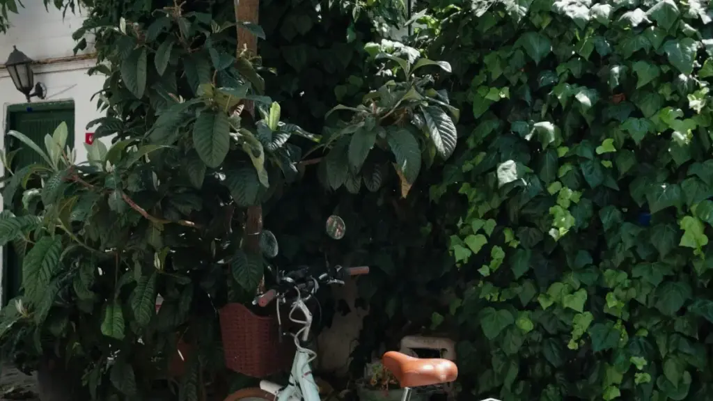 How Zimbabwe creators can pitch Sri Lanka brands on LinkedIn for game-key giveaways, with smart outreach, timing, and trust-building tips.