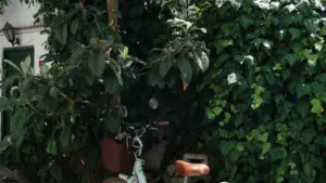 How Zimbabwe creators can pitch Sri Lanka brands on LinkedIn for game-key giveaways, with smart outreach, timing, and trust-building tips.