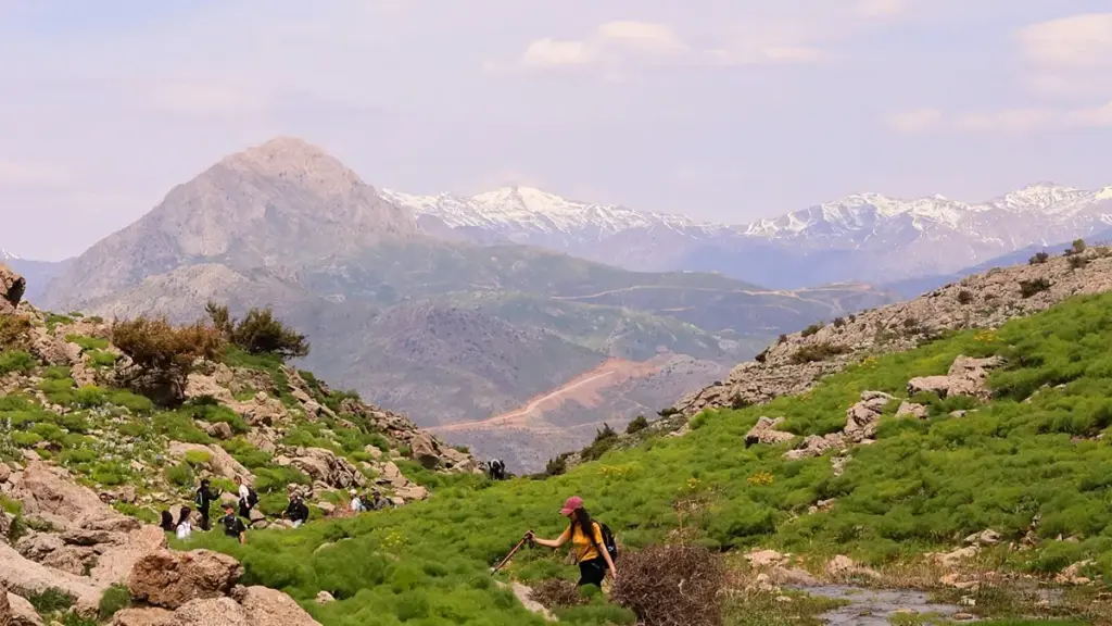 A practical guide to finding Turkey VK creators, spotting real mid-tier value, and building long-term partnerships that actually stick.