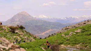 A practical guide to finding Turkey VK creators, spotting real mid-tier value, and building long-term partnerships that actually stick.